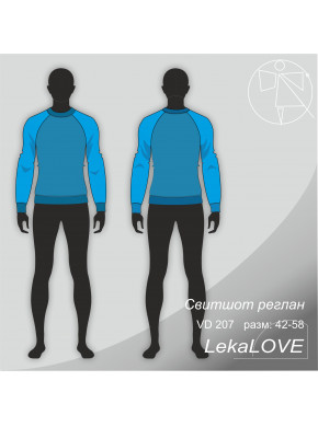 VD 207 Мужской свитшот реглан